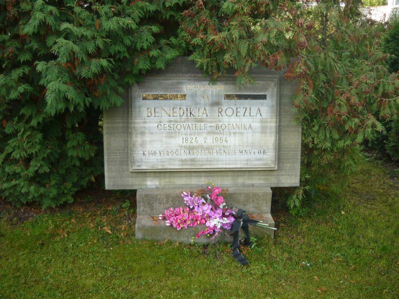 Obrázek #8 z 9