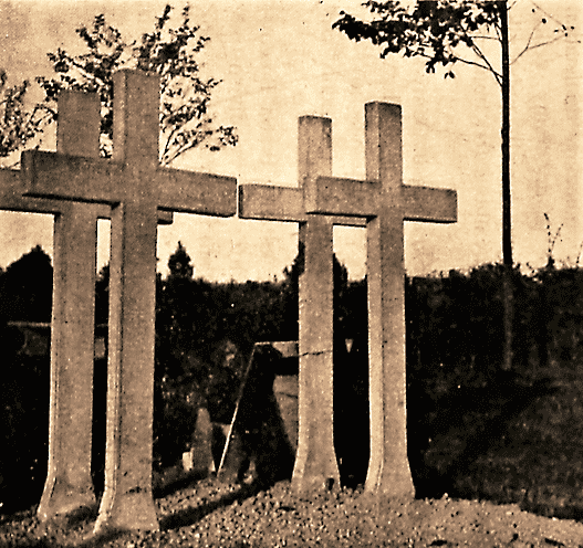 Obrázek #7 z 12