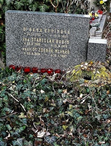 Obrázek #8 z 9