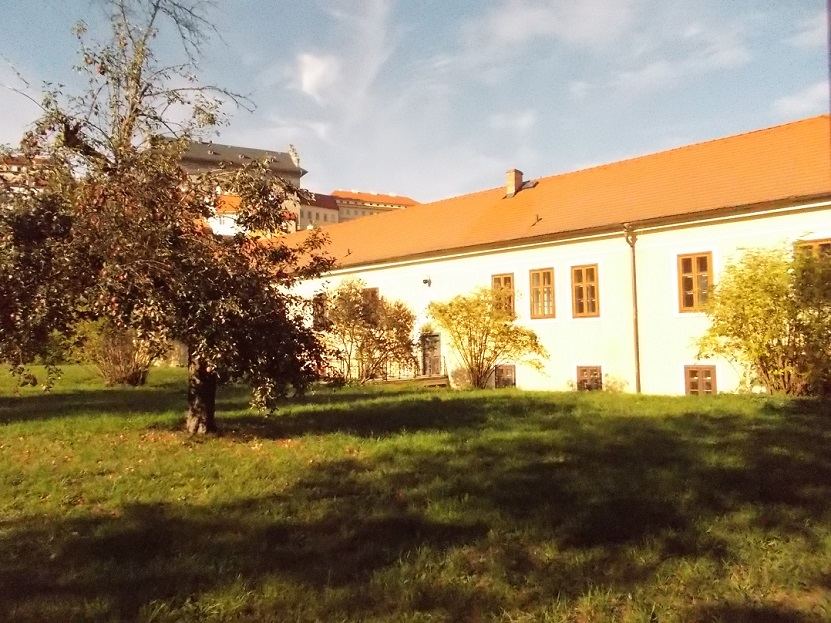 Obrázek #6 z 13