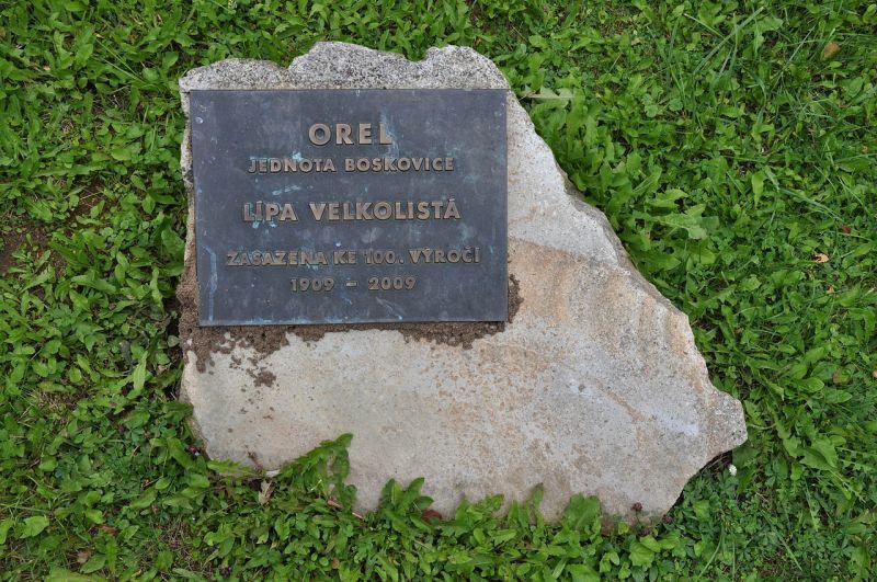 Obrázek #7 z 8