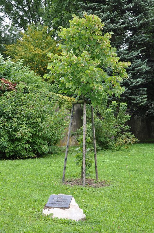 Obrázek #6 z 8