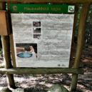 Hauswaldská kaple - Hauswaldská kaple 6