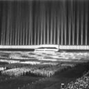 Albert von Speer - Katedrála světla nad Zeppelintribune . wikipedia
