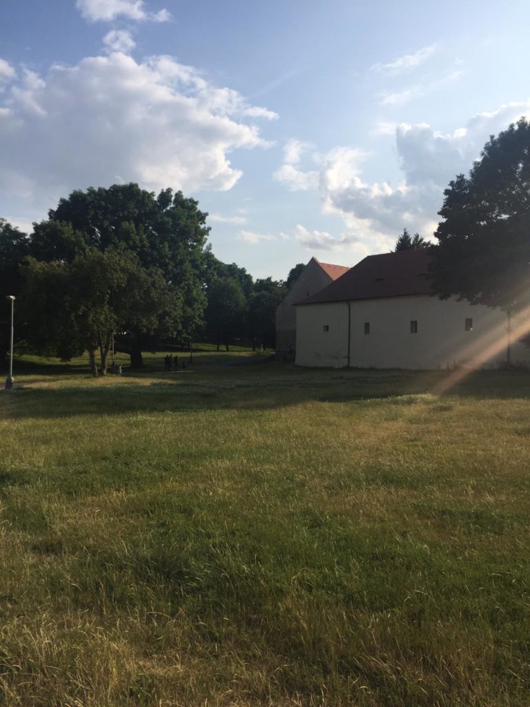 Klimatické ohrožení