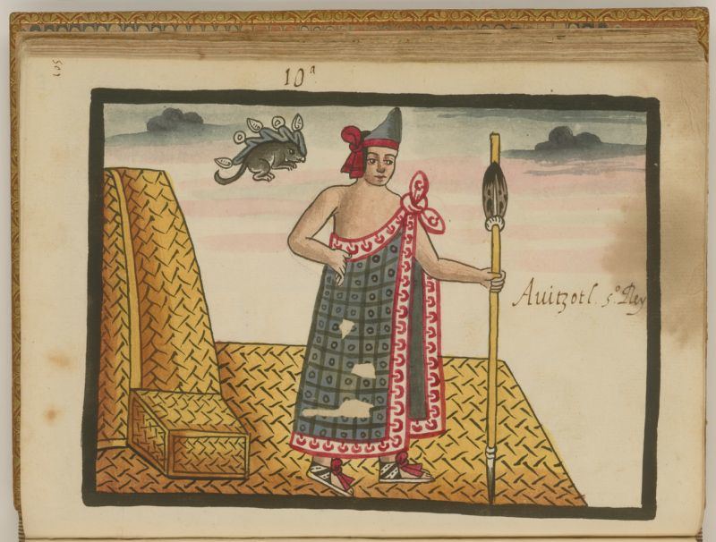Obrázek #9 z 14
