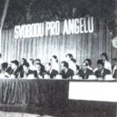 Angela Davisová - Manifestace za Angelu v pražské Lucerně – archiv autora