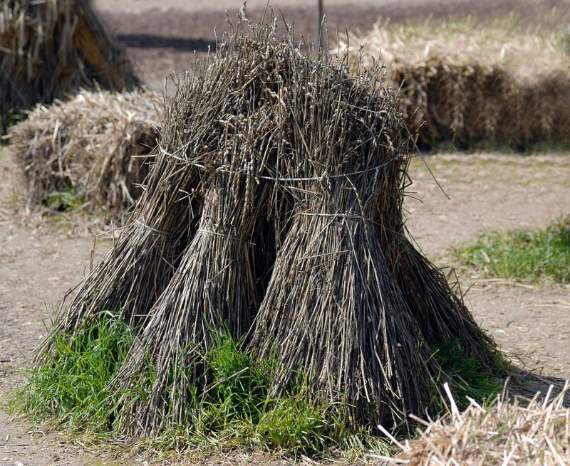 Obrázek #8 z 12