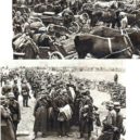 Přepadení Polska Německem 1. září 1939 v dobovém českém tisku - Polští zajatci – archiv autora