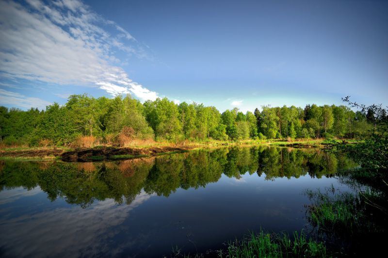 Obrázek #6 z 9