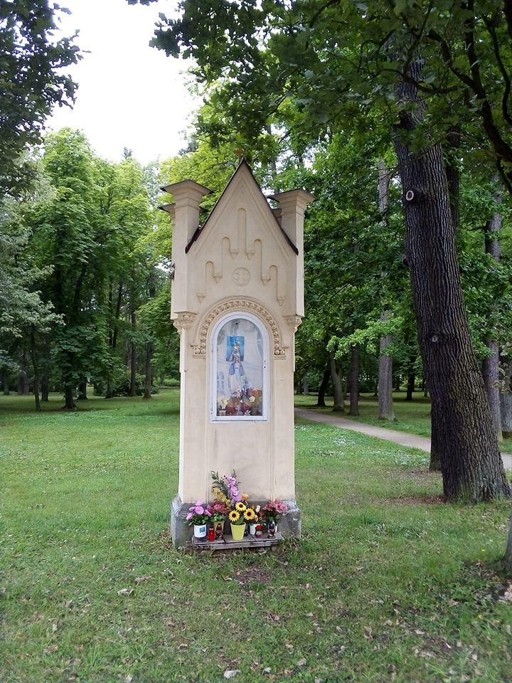 Obrázek #5 z 14
