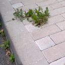 Jedlá soda nad zlato - soda_chodniky_1