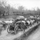 Bitva u Krašniku 1914 - Ústup srbské armády – wikipedie