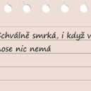 Něco ze žákovských knížek_1 - žákajdy_1