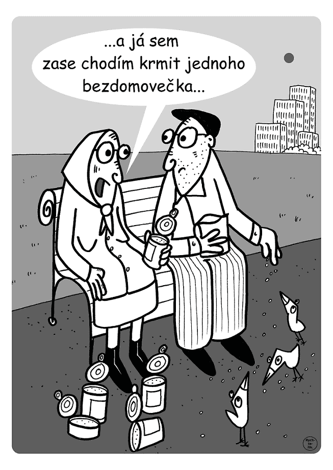 Obrázek #7 z 9