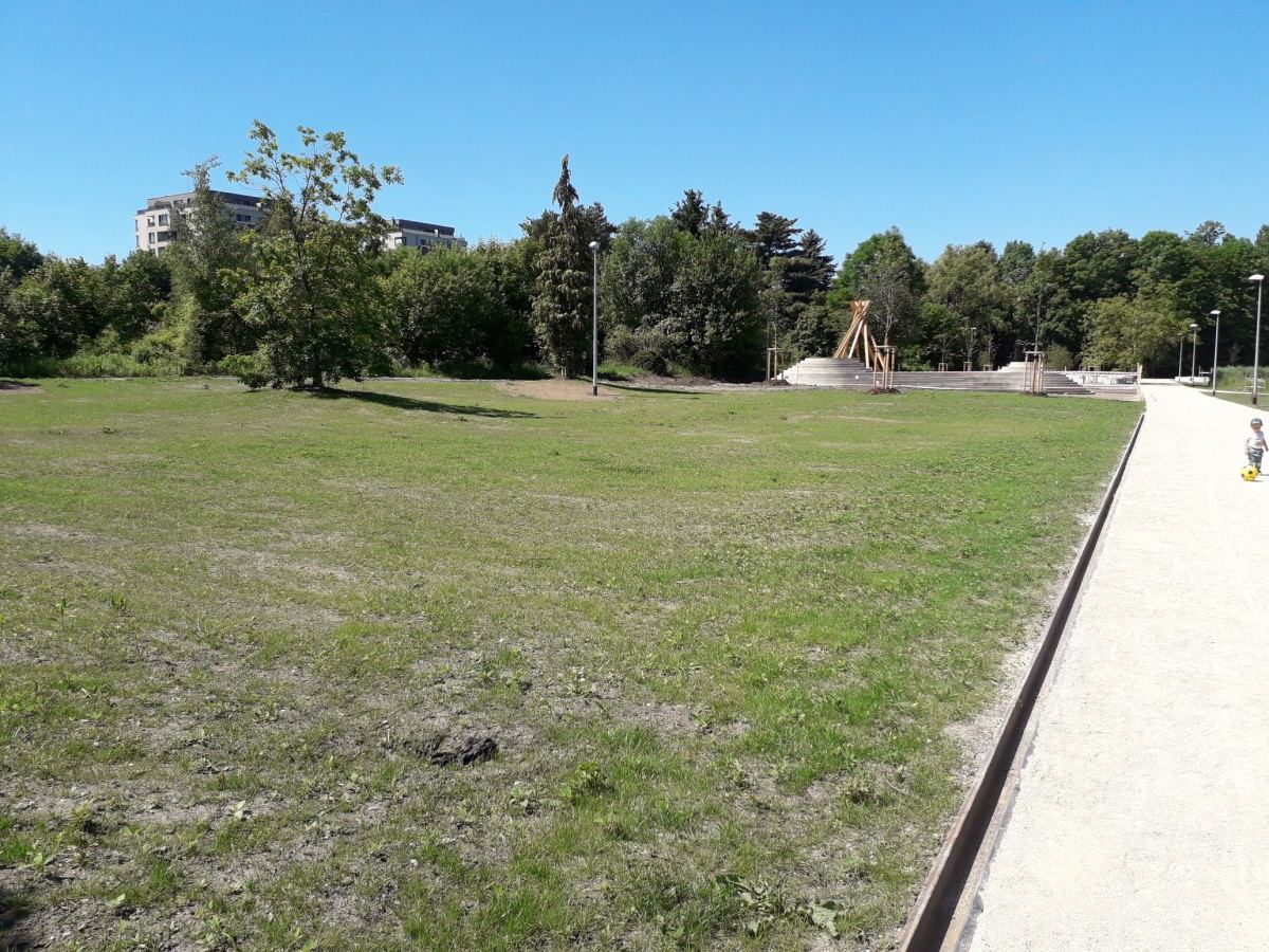 Rybník, hrad, rozhledna, tobogány, přírodní amfiteátr. Vysočanský park Zahrádky ožívá