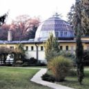 Zátiší a sluneční lázně - OLYMPUS DIGITAL CAMERA