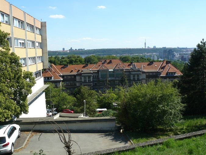 Obrázek #5 z 6