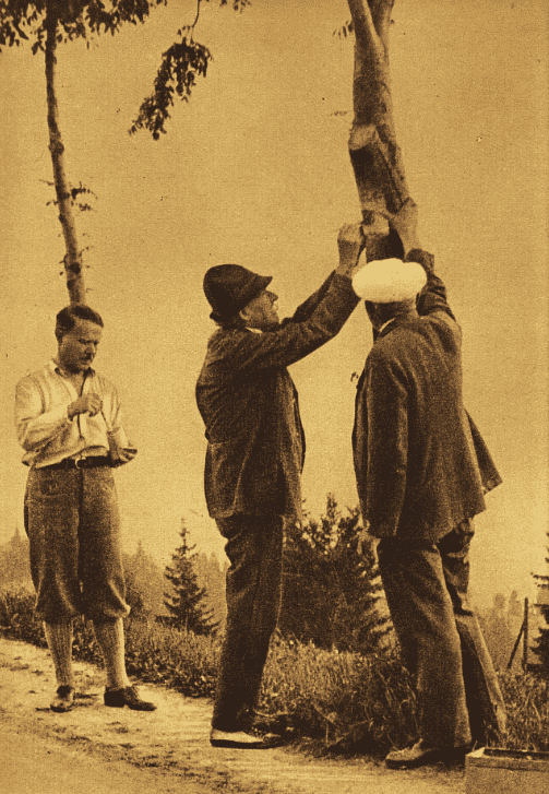 Obrázek #9 z 11