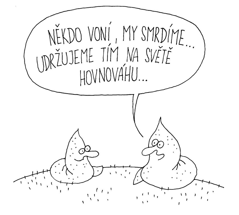 Obrázek #3 z 9