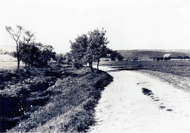 Obrázek #10 z 12