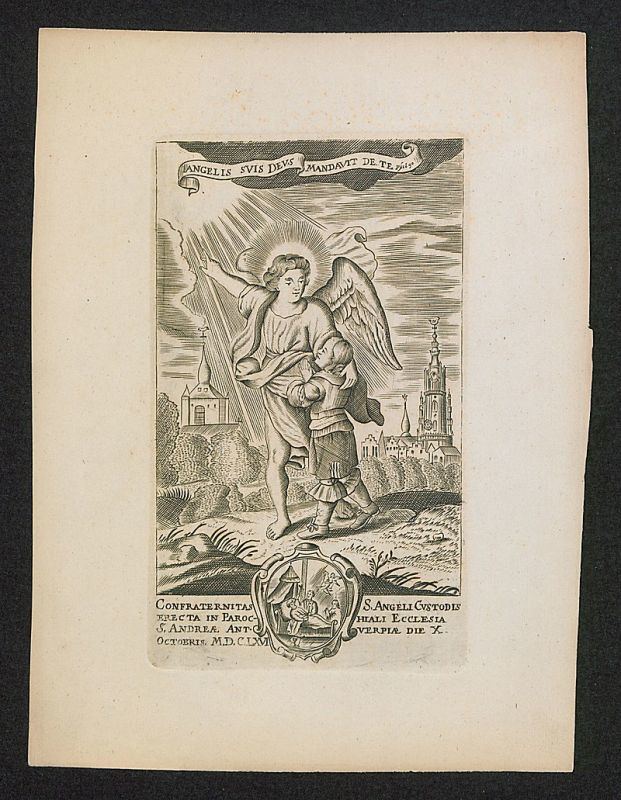 Obrázek #19 z 20
