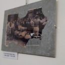 Výstava Libuše Staňkové Už ani korunu na zbrojení - Cesi 1938