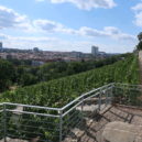 Grébovka 2019 - Park Grébovka 9,19