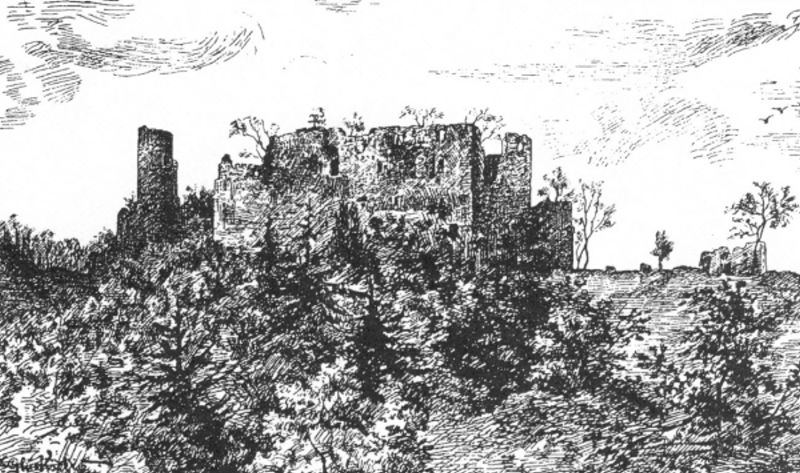 Obrázek #7 z 13