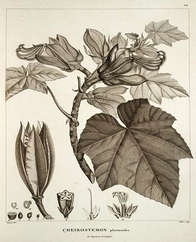 Obrázek #21 z 27