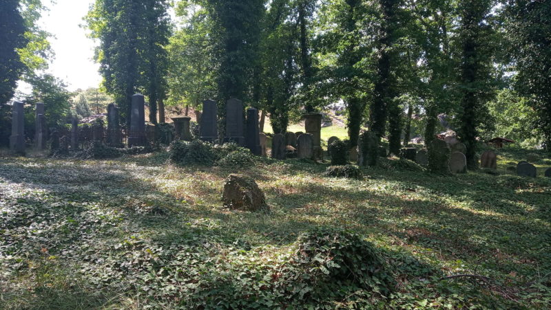 Obrázek #9 z 9