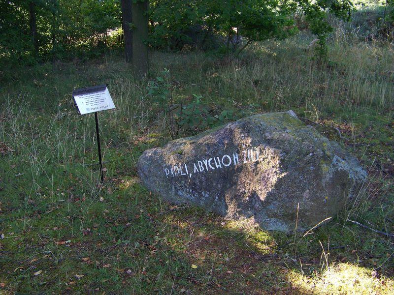 Obrázek #7 z 9