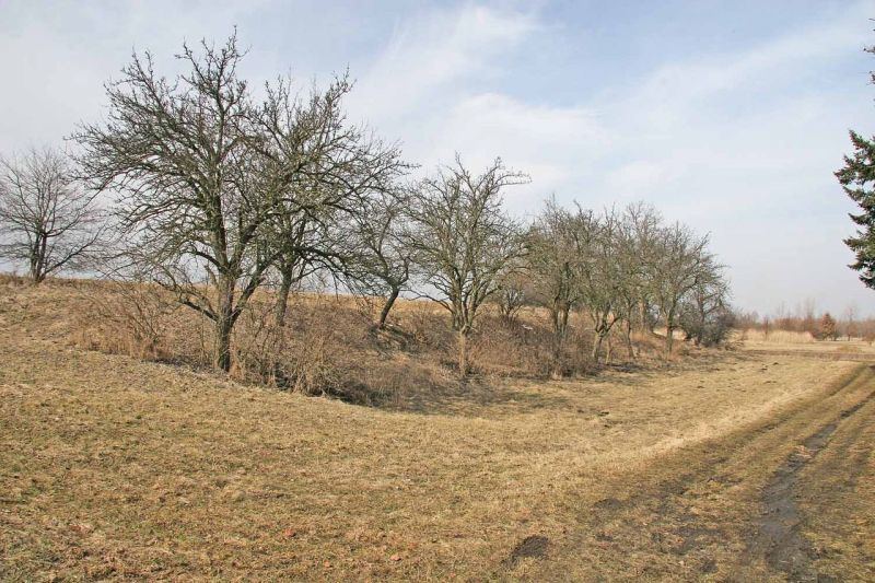 Obrázek #8 z 9