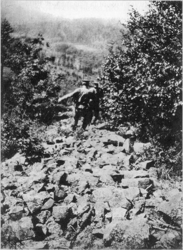 Obrázek #17 z 25