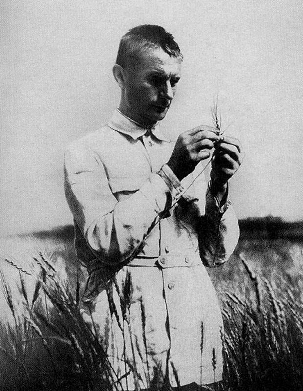 Obrázek #2 z 7