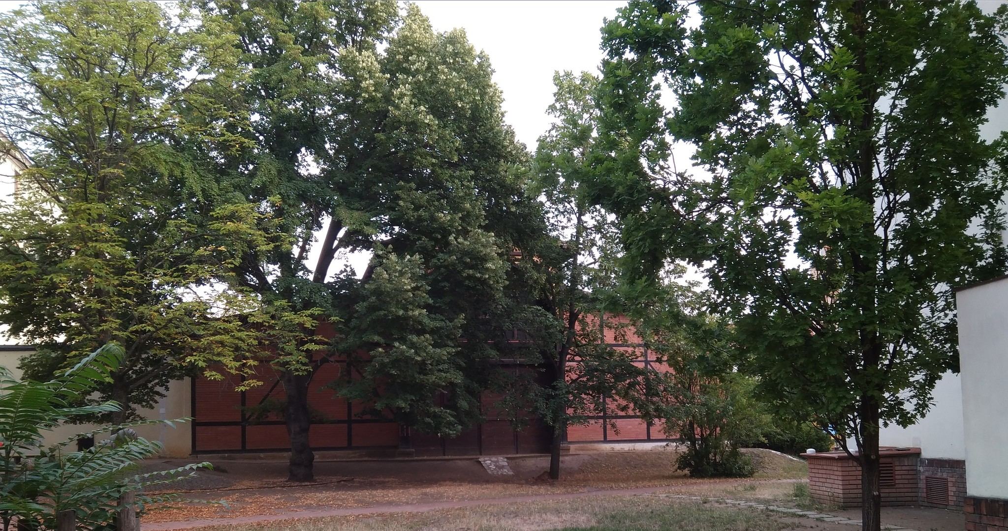 Obrázek #6 z 6