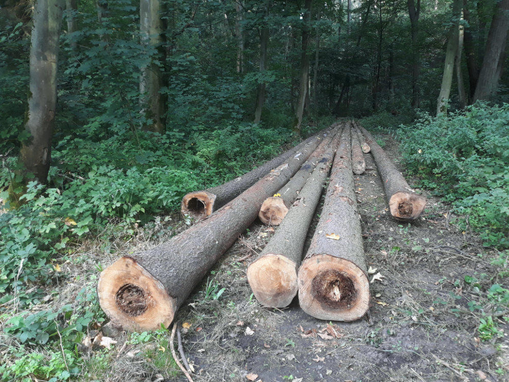 Obrázek #2 z 7