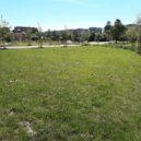 Vysočanský park Zahrádky - 0 p9 20190603_110609