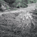 Rekultivace hliniště Baráčkovy cihelny - 3 p