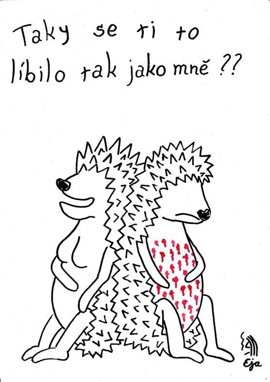Obrázek #4 z 9