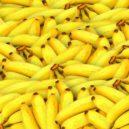 Malý domácí lexikon 5 - banan ovoce