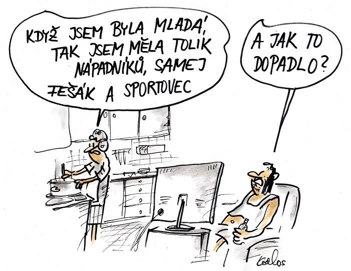 Obrázek #7 z 9