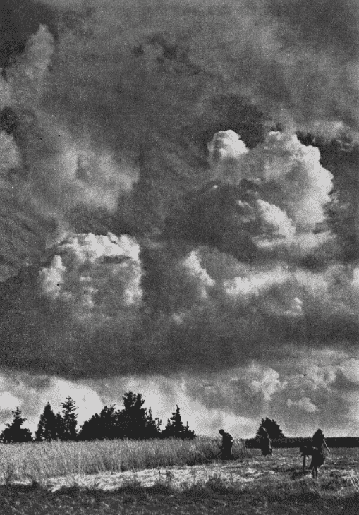 Obrázek #13 z 15