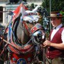 Oktoberfest - Krojovaný kočí – wikipedia