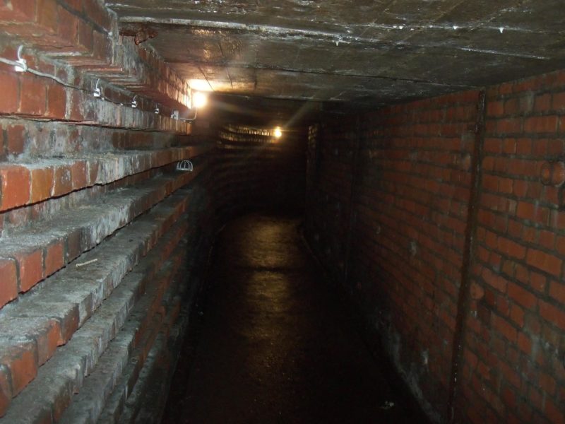 Obrázek #10 z 20