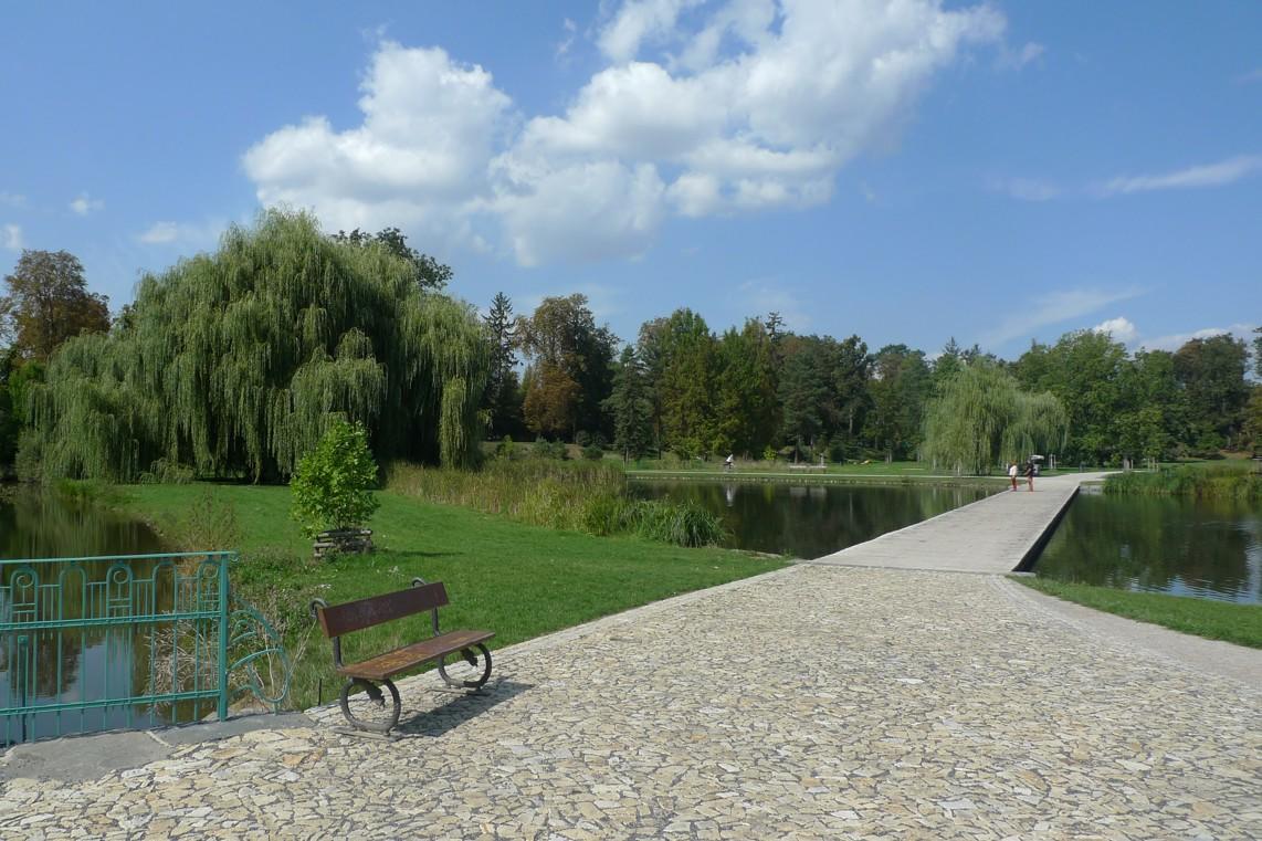 Nejen trávníky a záhony se potýkají s plevelem. Jak je to ve Stromovce?