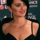 Swarovski - Penelope Cruz – šaty Versace a Swarovského krystaly . wikipedia