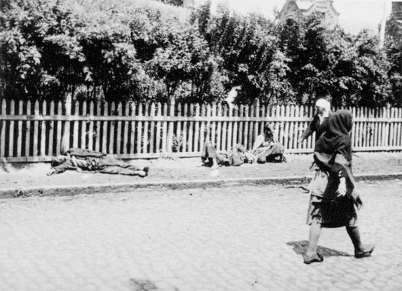 Obrázek #9 z 14