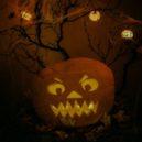 Tajemství halloweenské dýně - Dýně – symbol podzimu