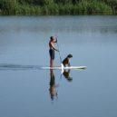 O lidech a hlodavcích - paddleboard